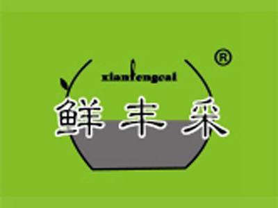 鲜丰采