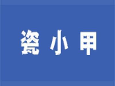 瓷小甲