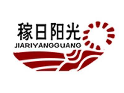 稼日阳光+拼音