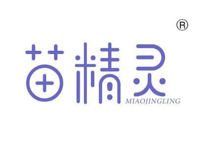 苗精灵