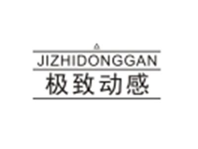 极致动感JIZHIDONGGAN