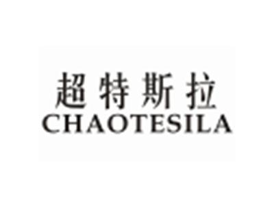 超特斯拉CHAOTESILA