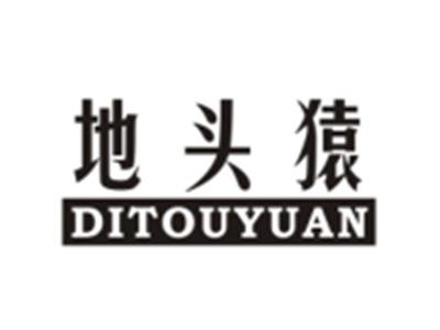 地头猿DITOUYUAN