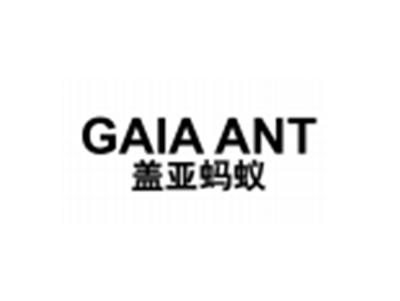 盖亚蚂蚁GAIAANT
