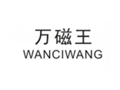 万磁王WANCIWANG