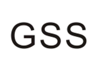 GSS