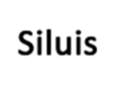 Siluis