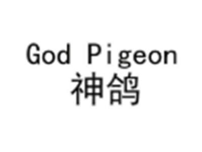 godpigeon神鸽