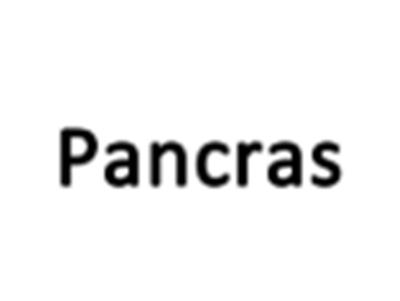 pancras