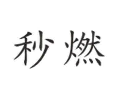 秒燃
