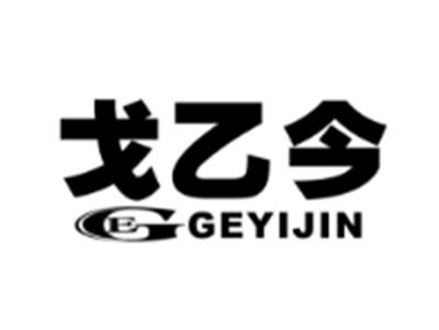 戈乙今