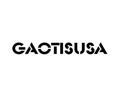 GAOTISUSA