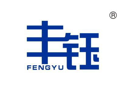 丰钰