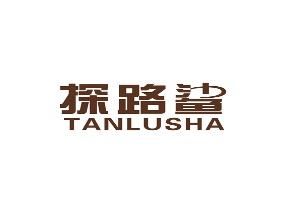 探路鲨