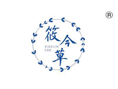筱今草