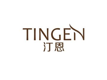汀恩