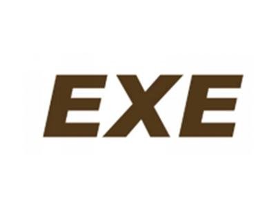EXE