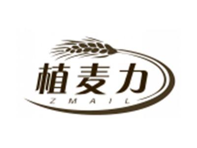 植麦力ZMAIL