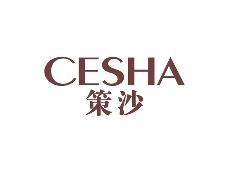 策沙