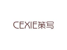 策写