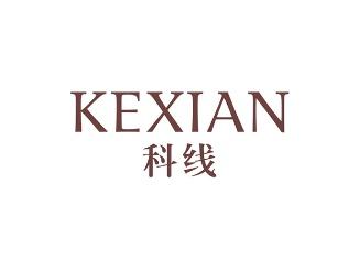 科线