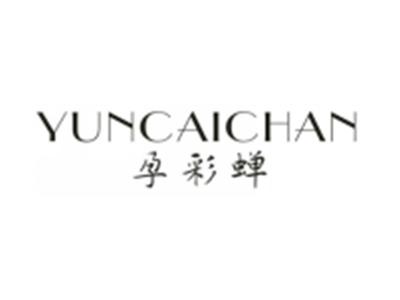 孕彩蝉