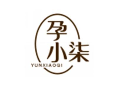 孕小柒