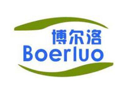 博尔洛