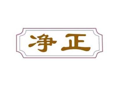 净正