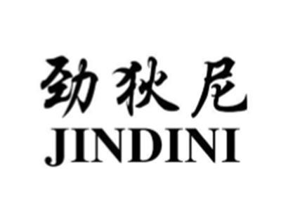 劲狄尼