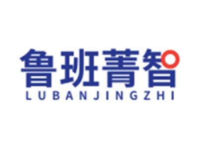 鲁班菁智