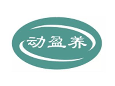 动盈养