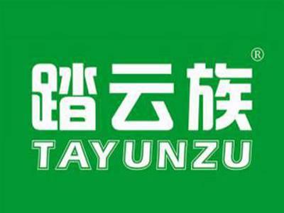踏云族