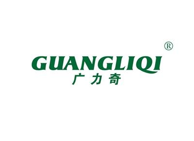 广力奇GUANGLIQI