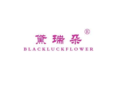 黛瑞朵BLACKLUCKFLOWER