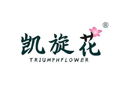 凯旋花TRIUMPHFLOWER