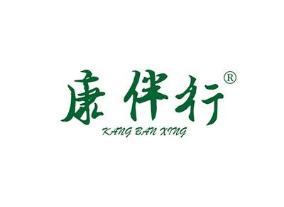 康伴行KANGBANXING