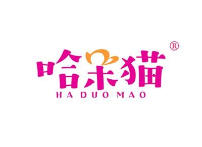 哈朵猫