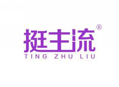 挺主流TINGZHULIU