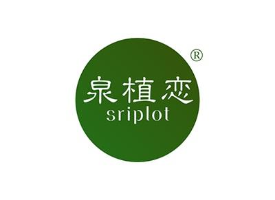 泉植恋SRIPLOT