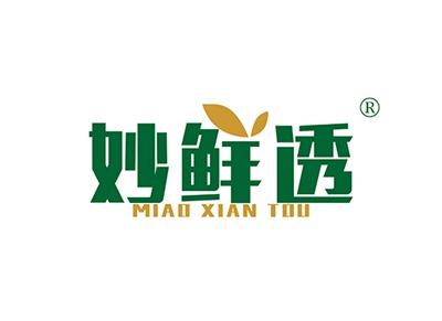 妙鲜透MIAOXIANTOU
