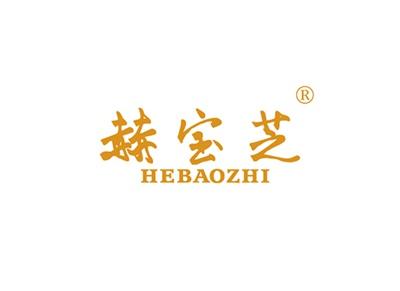 赫宝芝HEBAOZHI