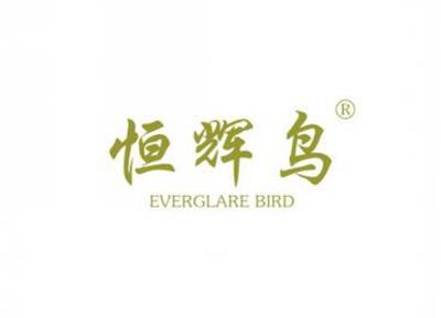 恒辉鸟EVERGLAREBIRD