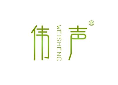 伟声WEISHENG