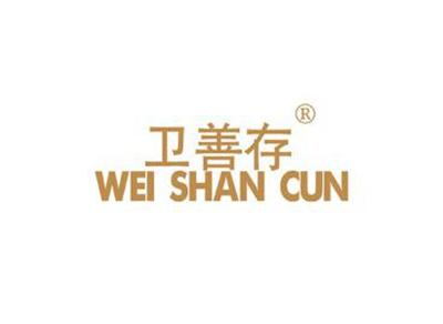 卫善存WEISHANCUN