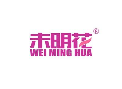未明花WEIMINGHUA
