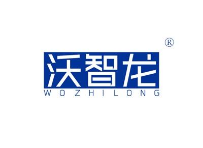 沃智龙WOZHILONG