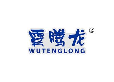雾腾龙WUTENGLONG