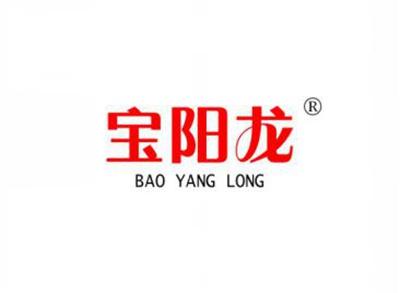宝阳龙BAOYANGLONG