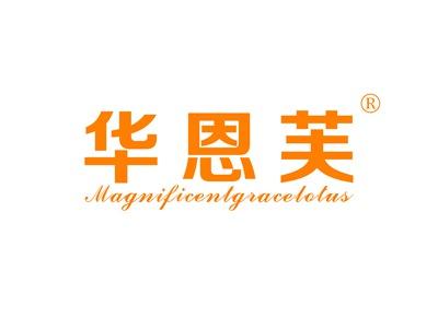 华恩芙MAGNIFICENTGRACELOTUS